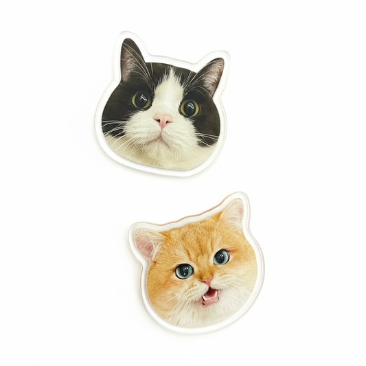 Pet Fridge Magnet (DIY)